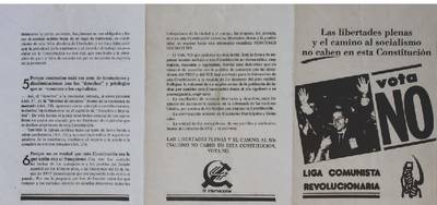 �Las libertades plenas y el camino al socialismo no caben en esta Constituci�n�