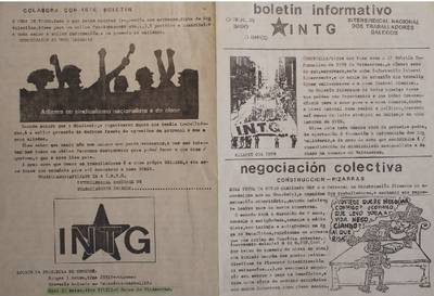 �Bolet�n informativo INTG�