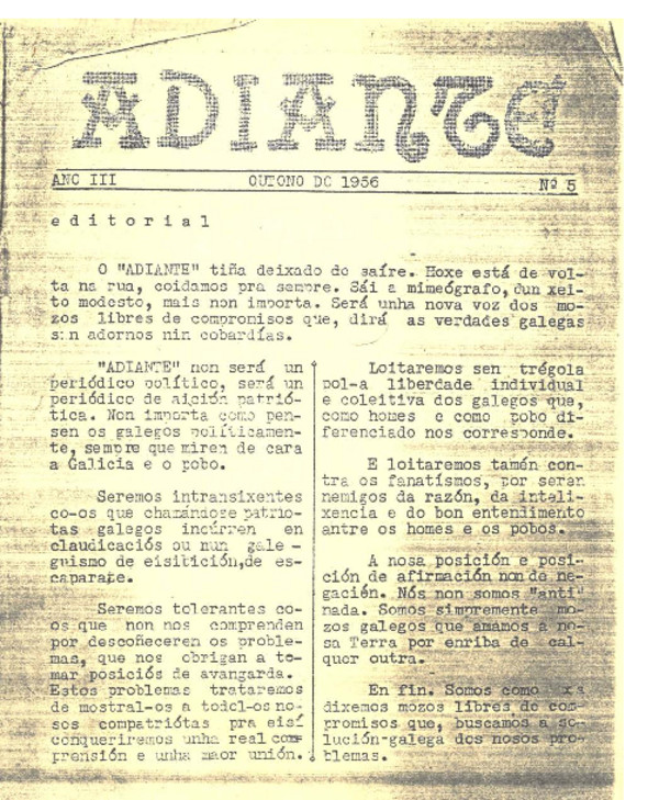 n. 5